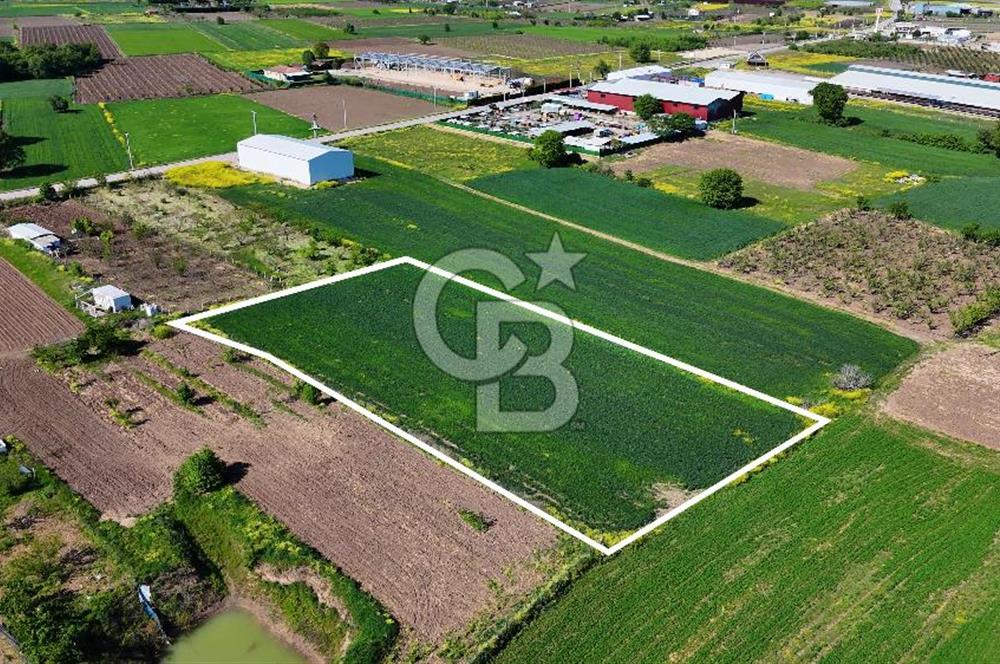 Balabancıkın Değerli Konumunda Tek Tapu Fırsat Arazi