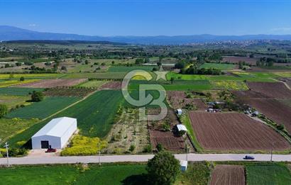 Balabancıkın Değerli Konumunda Tek Tapu Fırsat Arazi