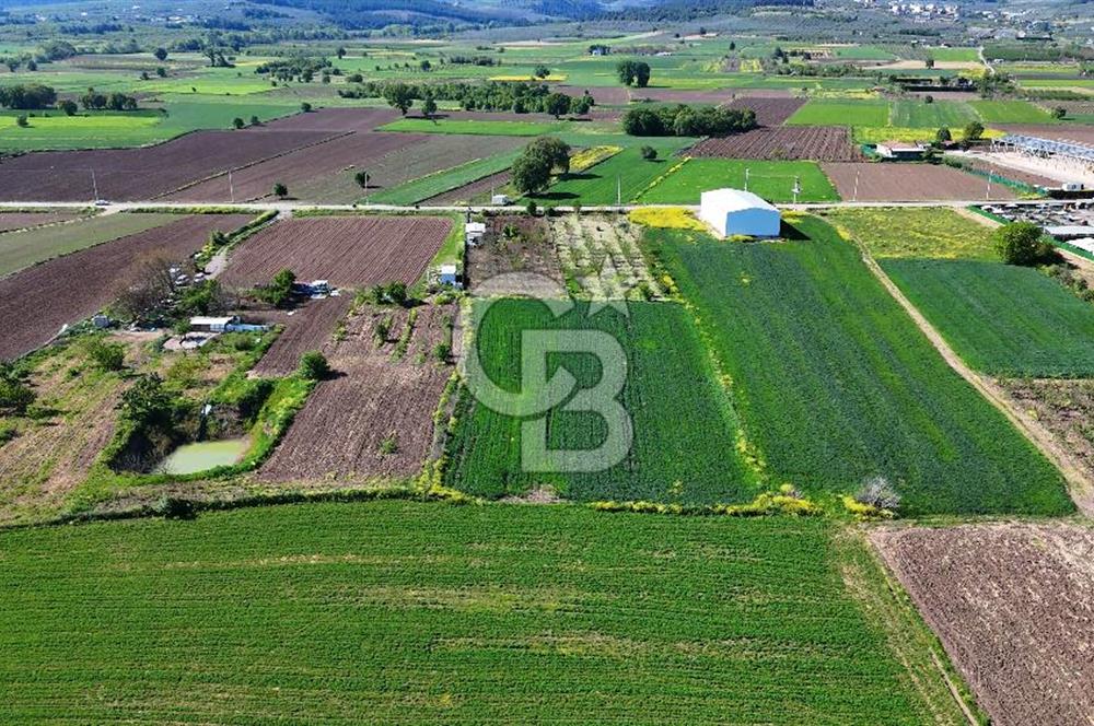 Balabancıkın Değerli Konumunda Tek Tapu Fırsat Arazi