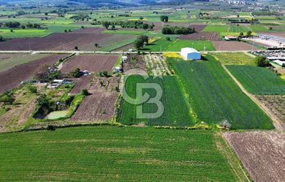 Balabancıkın Değerli Konumunda Tek Tapu Fırsat Arazi