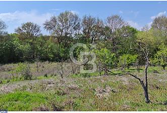 KIRKLARELİ PINARHİSAR OSMANCIK TEK TAPU MÜSTAKİL FIRSAT - 5 - 331949