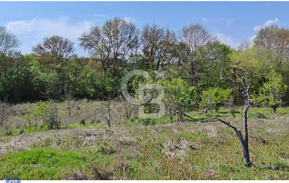 KIRKLARELİ PINARHİSAR OSMANCIK TEK TAPU MÜSTAKİL FIRSAT