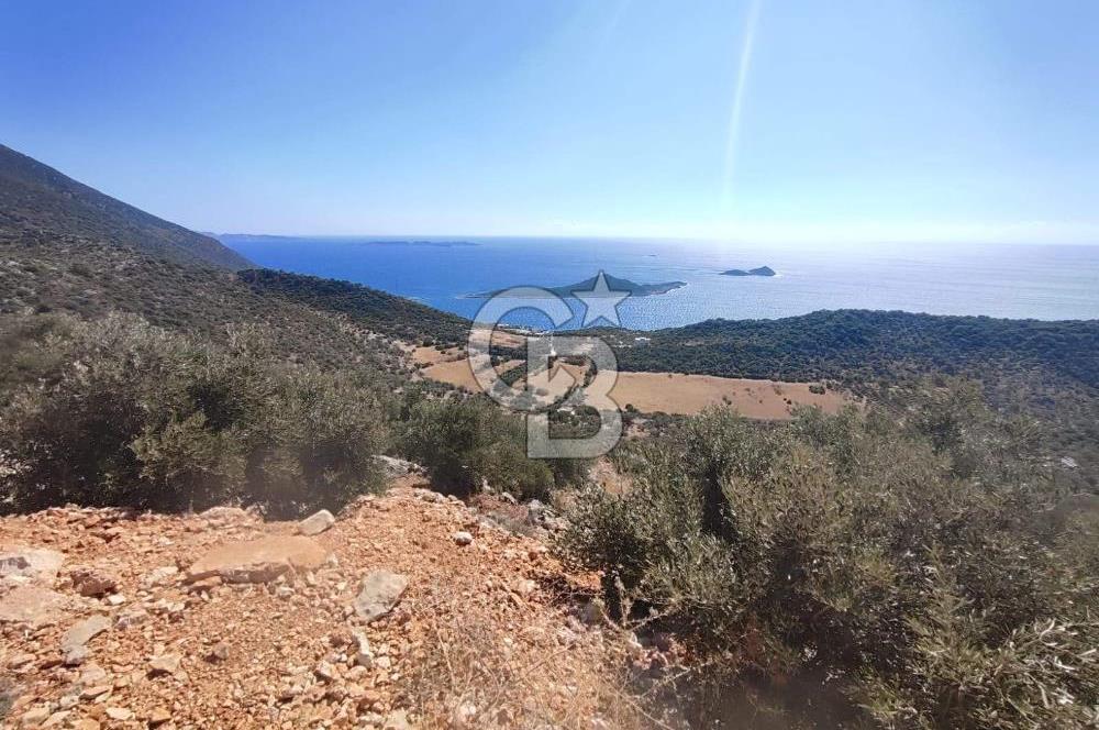 CB GİZ 'DEN KAŞ BEZİRGAN 'DA DENİZ MANZARALI 2B PARSELLER