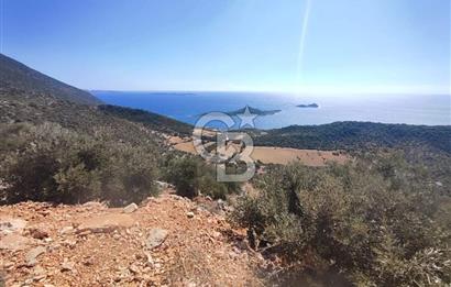CB GİZ 'DEN KAŞ BEZİRGAN 'DA DENİZ MANZARALI 2B PARSELLER