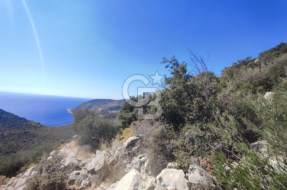 CB GİZ 'DEN KAŞ BEZİRGAN 'DA DENİZ MANZARALI 2B PARSELLER