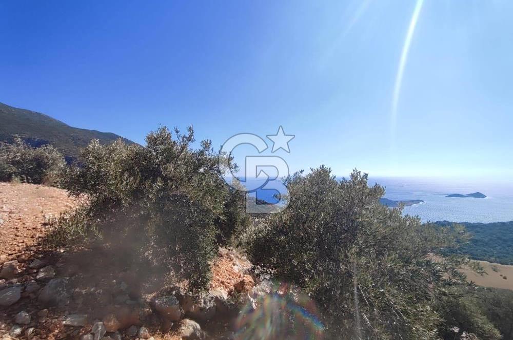 CB GİZ 'DEN KAŞ BEZİRGAN 'DA DENİZ MANZARALI 2B PARSELLER