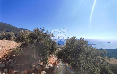 CB GİZ 'DEN KAŞ BEZİRGAN 'DA DENİZ MANZARALI 2B PARSELLER