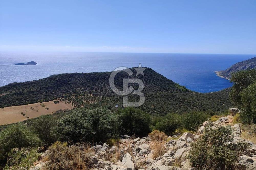 CB GİZ 'DEN KAŞ BEZİRGAN 'DA DENİZ MANZARALI 2B PARSELLER
