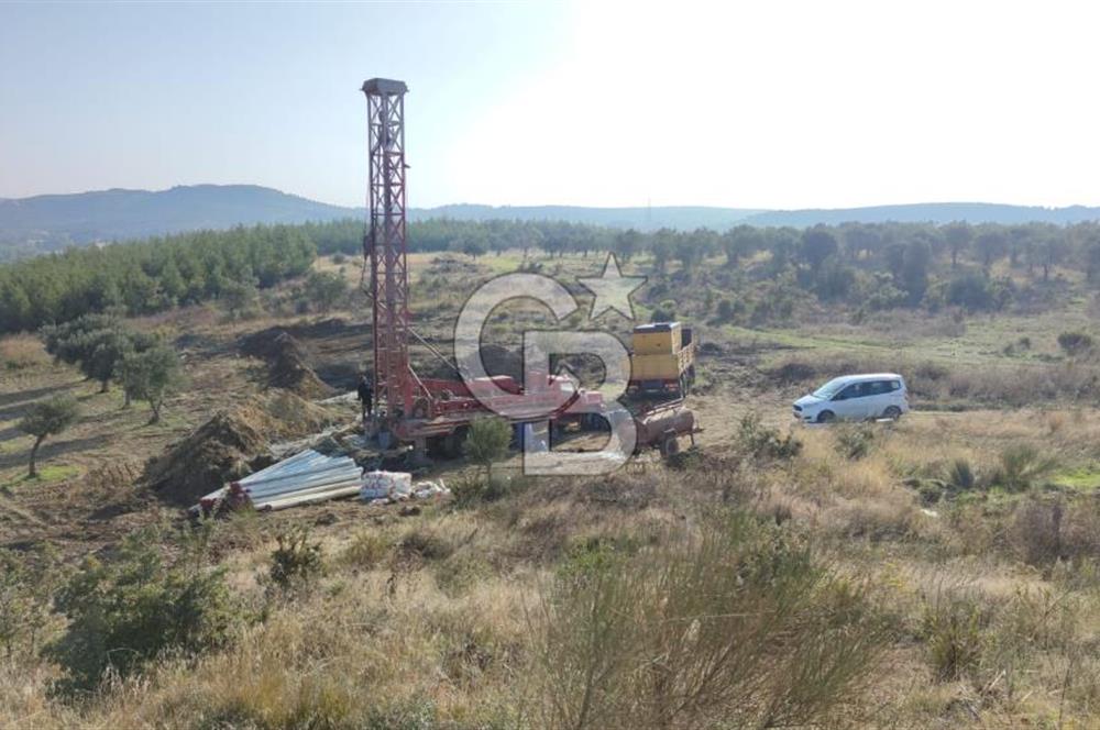 BERGAMA ÇALIBAHÇE KÖYÜ 22500m2 MÜSTAKİL TAPU