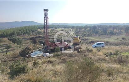 BERGAMA ÇALIBAHÇE KÖYÜ 22500m2 MÜSTAKİL TAPU