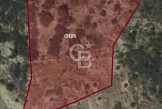 CB GİZ'DEN SEYDİKEMER BAYIR'DA SATILIK 2B PARSELLER - 9 - 331952