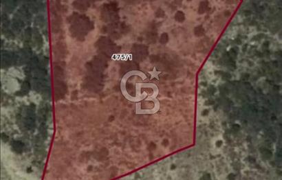 CB GİZ'DEN SEYDİKEMER BAYIR'DA SATILIK 2B PARSELLER