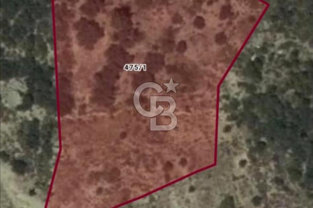 CB GİZ'DEN SEYDİKEMER BAYIR'DA SATILIK 2B PARSELLER