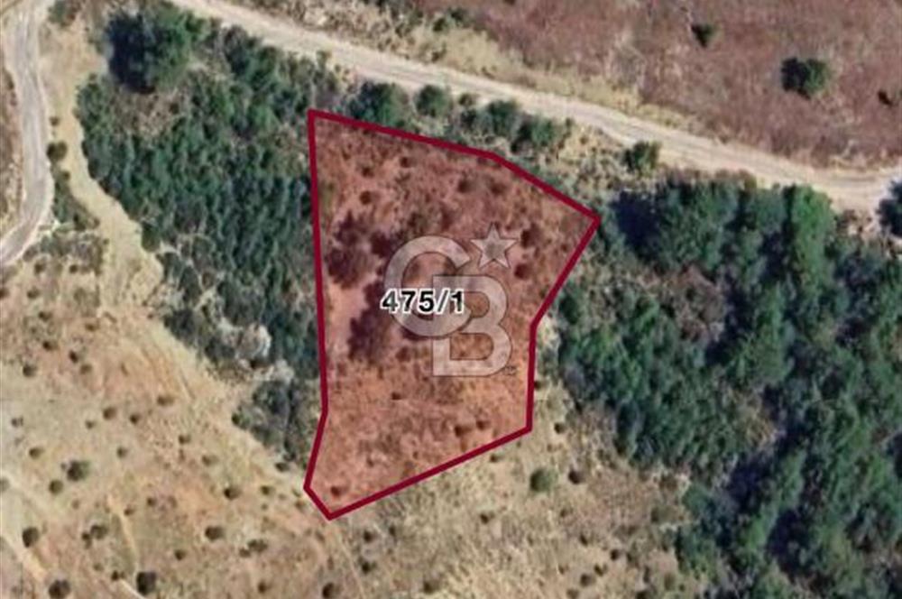 CB GİZ'DEN SEYDİKEMER BAYIR'DA SATILIK 2B PARSELLER