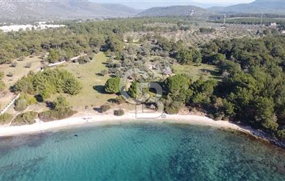 Muğla Bozbük Bölgesinde Denize Sıfır Turizm Planlama Alanında Satılık Büyük Parsel Arazi