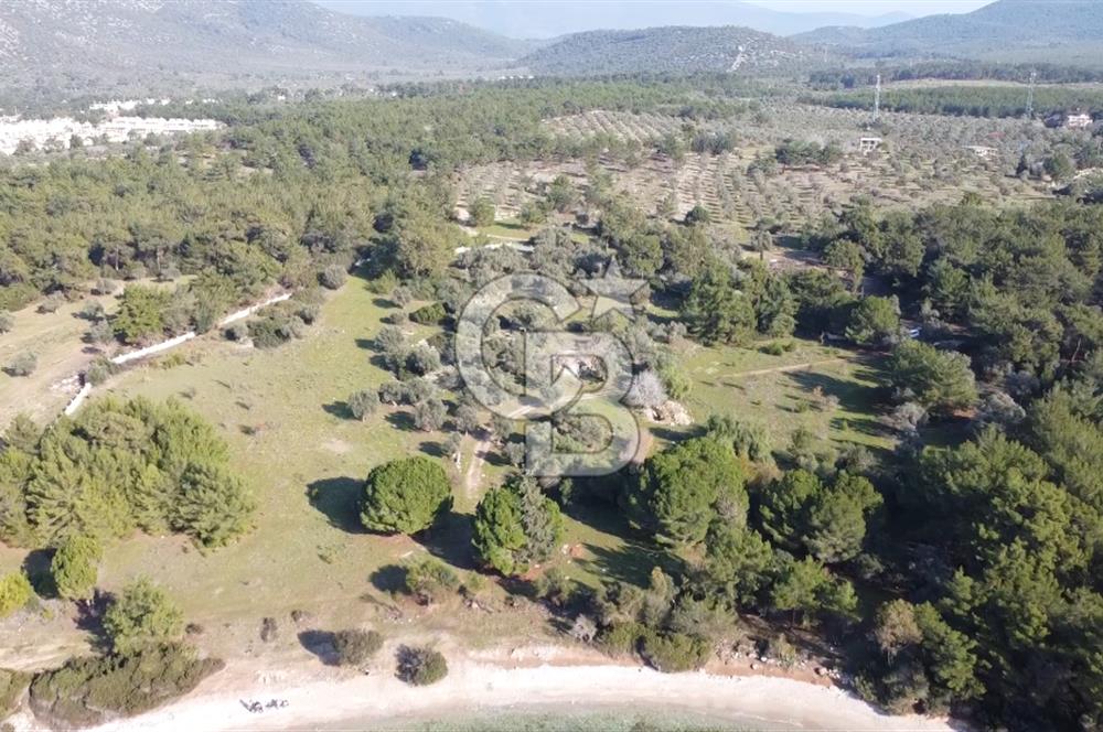Muğla Bozbük Bölgesinde Denize Sıfır Turizm Planlama Alanında Satılık Büyük Parsel Arazi
