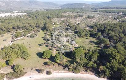 Muğla Bozbük Bölgesinde Denize Sıfır Turizm Planlama Alanında Satılık Büyük Parsel Arazi