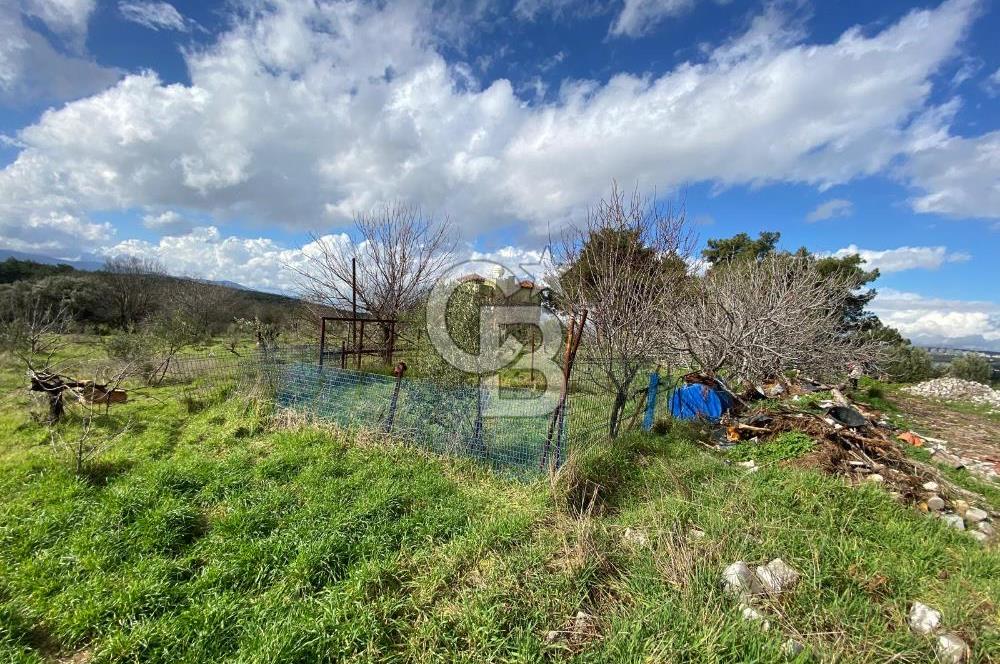 BUCA KAYNAKLAR ZAFER mah. KİRALIK ARAZİ ve 4+1 DUBLEKS BAĞ EVİ