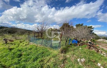 BUCA KAYNAKLAR ZAFER mah. KİRALIK ARAZİ ve 4+1 DUBLEKS BAĞ EVİ