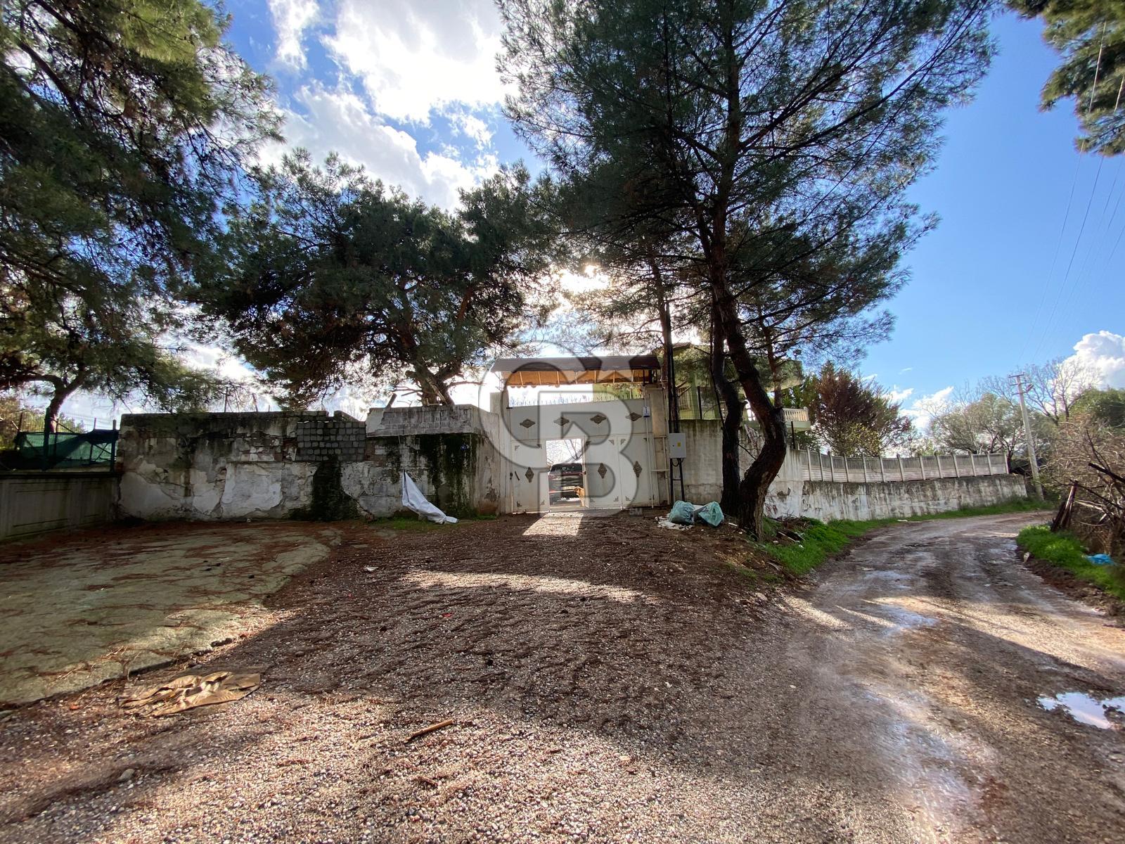 BUCA KAYNAKLAR ZAFER mah. KİRALIK ARAZİ ve 4+1 DUBLEKS BAĞ EVİ