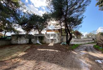 BUCA KAYNAKLAR ZAFER mah. KİRALIK ARAZİ ve 4+1 DUBLEKS BAĞ EVİ - 6 - 332040