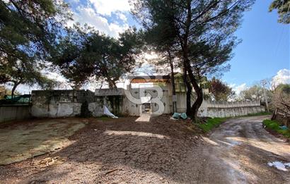 BUCA KAYNAKLAR ZAFER mah. KİRALIK ARAZİ ve 4+1 DUBLEKS BAĞ EVİ