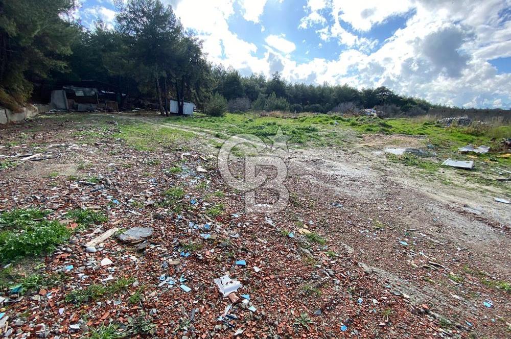 BUCA KAYNAKLAR ZAFER mah. KİRALIK ARAZİ ve 4+1 DUBLEKS BAĞ EVİ