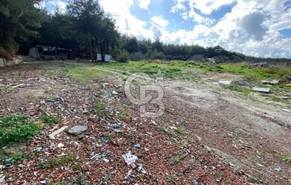 BUCA KAYNAKLAR ZAFER mah. KİRALIK ARAZİ ve 4+1 DUBLEKS BAĞ EVİ