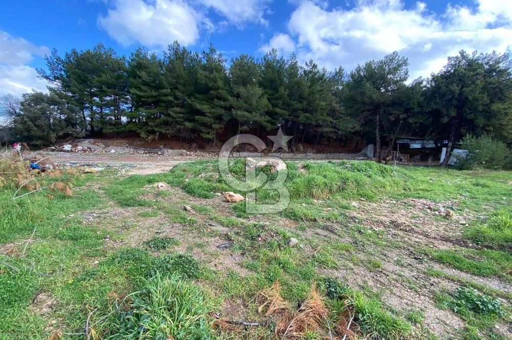 BUCA KAYNAKLAR ZAFER mah. KİRALIK ARAZİ ve 4+1 DUBLEKS BAĞ EVİ