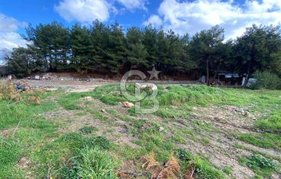 BUCA KAYNAKLAR ZAFER mah. KİRALIK ARAZİ ve 4+1 DUBLEKS BAĞ EVİ