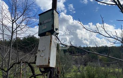 BUCA KAYNAKLAR ZAFER mah. KİRALIK ARAZİ ve 4+1 DUBLEKS BAĞ EVİ