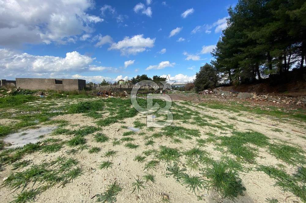 BUCA KAYNAKLAR ZAFER mah. KİRALIK ARAZİ ve 4+1 DUBLEKS BAĞ EVİ