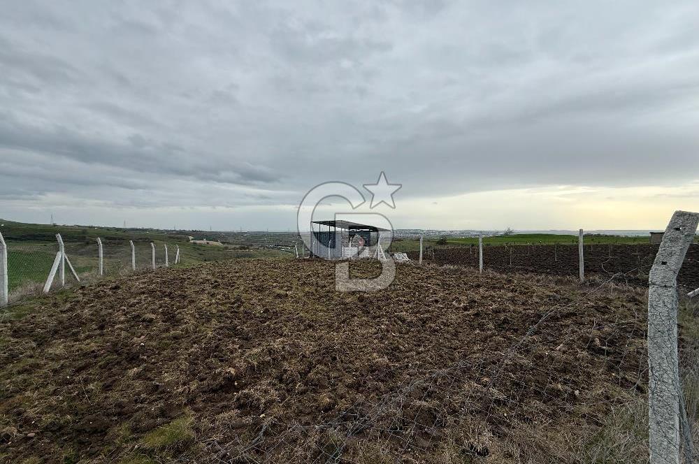 İSTANBUL SİLİVRİ DEĞİRMENKÖY 448 M2 HİSSELİ TARLA ETRAFI ÇEVRİLİ