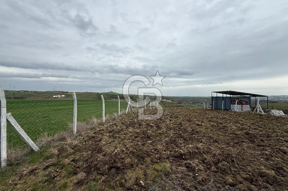 İSTANBUL SİLİVRİ DEĞİRMENKÖY 448 M2 HİSSELİ TARLA ETRAFI ÇEVRİLİ