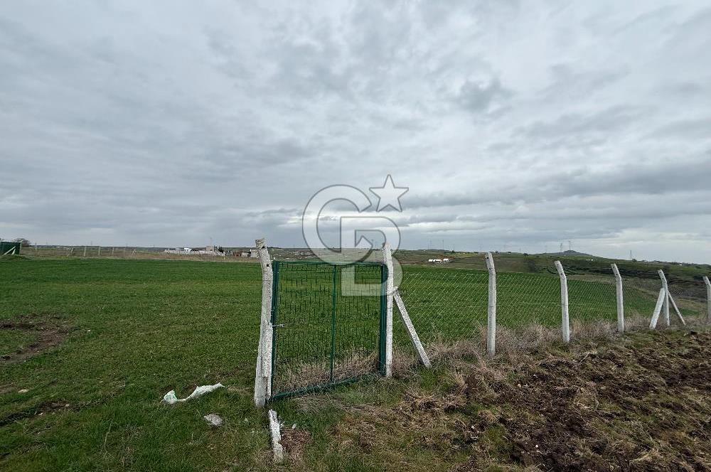 İSTANBUL SİLİVRİ DEĞİRMENKÖY 448 M2 HİSSELİ TARLA ETRAFI ÇEVRİLİ