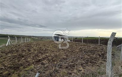 İSTANBUL SİLİVRİ DEĞİRMENKÖY 448 M2 HİSSELİ TARLA ETRAFI ÇEVRİLİ