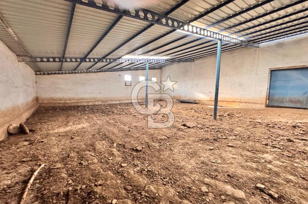 NİĞDE BOR ÇUKURKUYU 62 DÖNÜM ÜZERİNE KURULU SATILIK TARLA-TESİS