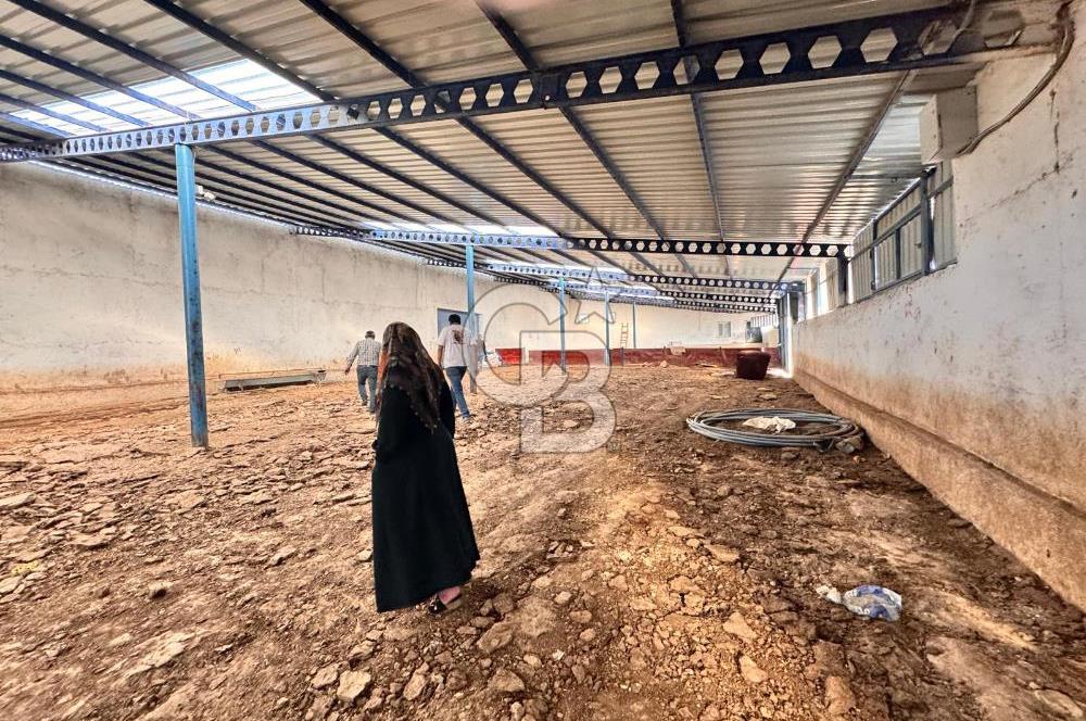 NİĞDE BOR ÇUKURKUYU 62 DÖNÜM ÜZERİNE KURULU SATILIK TARLA-TESİS