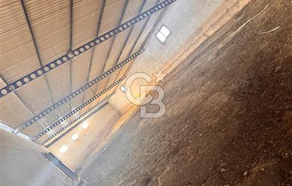 NİĞDE BOR ÇUKURKUYU 62 DÖNÜM ÜZERİNE KURULU SATILIK TARLA-TESİS