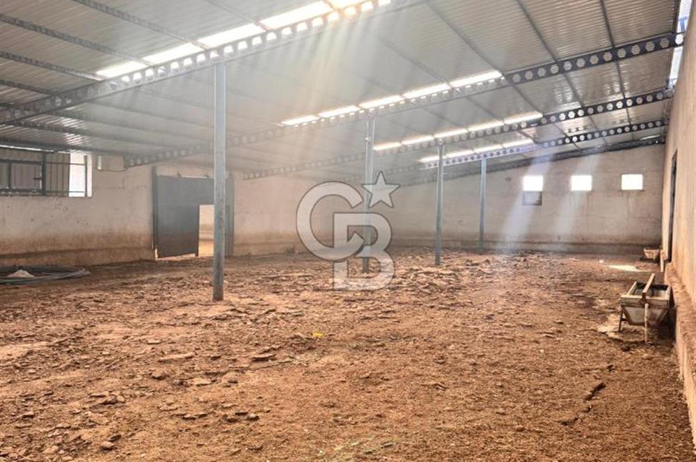 NİĞDE BOR ÇUKURKUYU 62 DÖNÜM ÜZERİNE KURULU SATILIK TARLA-TESİS