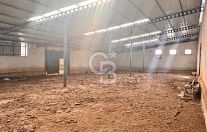 NİĞDE BOR ÇUKURKUYU 62 DÖNÜM ÜZERİNE KURULU SATILIK TARLA-TESİS