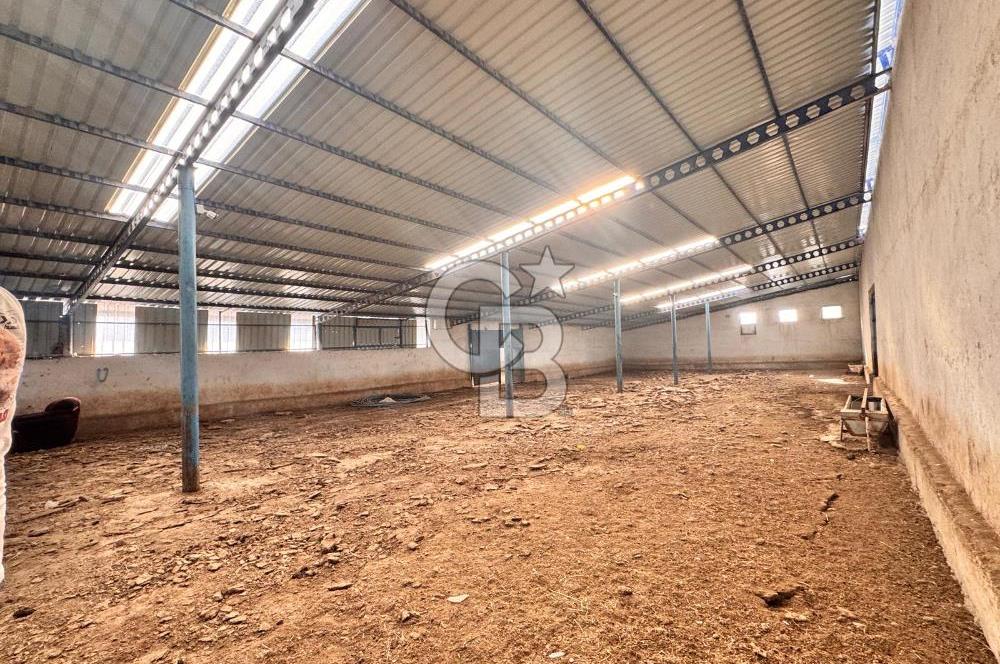 NİĞDE BOR ÇUKURKUYU 62 DÖNÜM ÜZERİNE KURULU SATILIK TARLA-TESİS