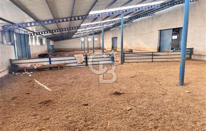 NİĞDE BOR ÇUKURKUYU 62 DÖNÜM ÜZERİNE KURULU SATILIK TARLA-TESİS