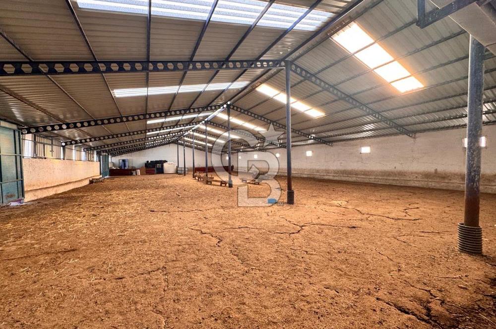 NİĞDE BOR ÇUKURKUYU 62 DÖNÜM ÜZERİNE KURULU SATILIK TARLA-TESİS