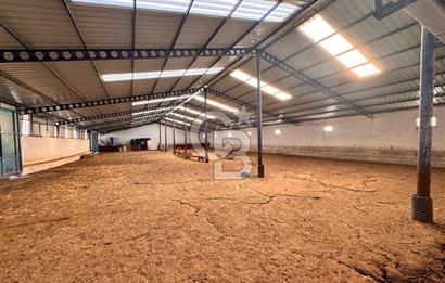 NİĞDE BOR ÇUKURKUYU 62 DÖNÜM ÜZERİNE KURULU SATILIK TARLA-TESİS