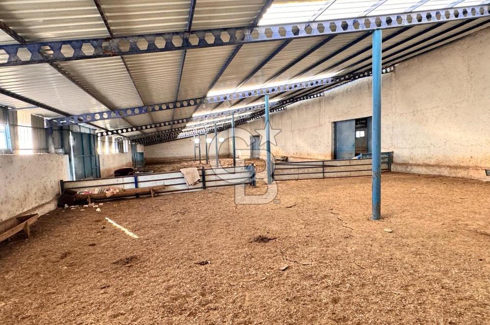 NİĞDE BOR ÇUKURKUYU 62 DÖNÜM ÜZERİNE KURULU SATILIK TARLA-TESİS