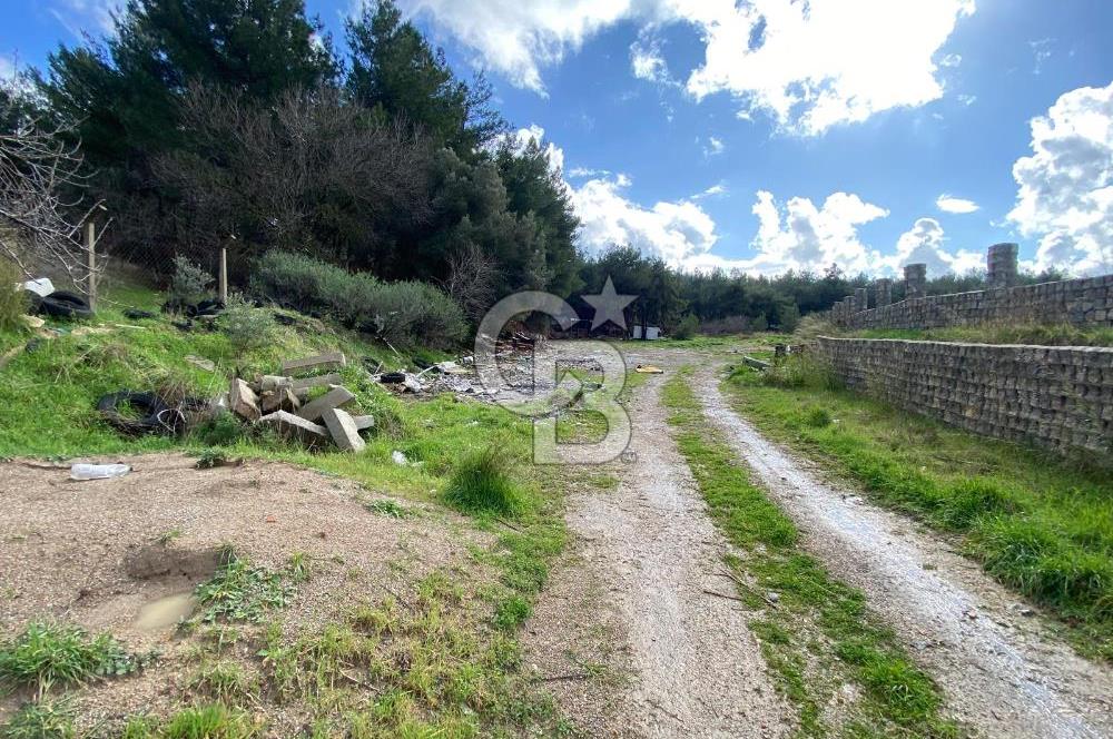 BUCA KAYNAKLAR ZAFER mah. KİRALIK ARAZİ ve 4+1 DUBLEKS BAĞ EVİ