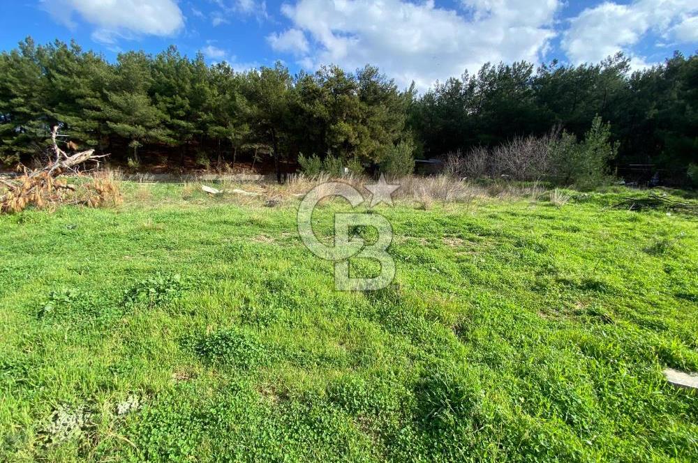 BUCA KAYNAKLAR ZAFER mah. KİRALIK ARAZİ ve 4+1 DUBLEKS BAĞ EVİ