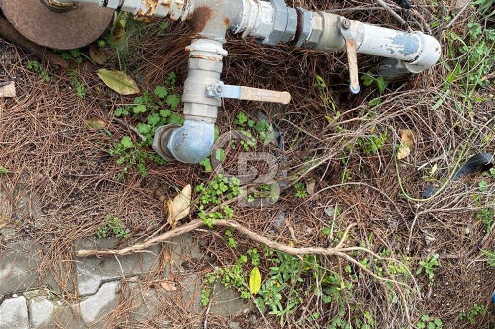 BUCA KAYNAKLAR ZAFER mah. KİRALIK ARAZİ ve 4+1 DUBLEKS BAĞ EVİ