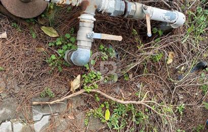 BUCA KAYNAKLAR ZAFER mah. KİRALIK ARAZİ ve 4+1 DUBLEKS BAĞ EVİ